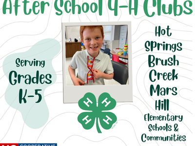 After school 4-H club flyer with picture