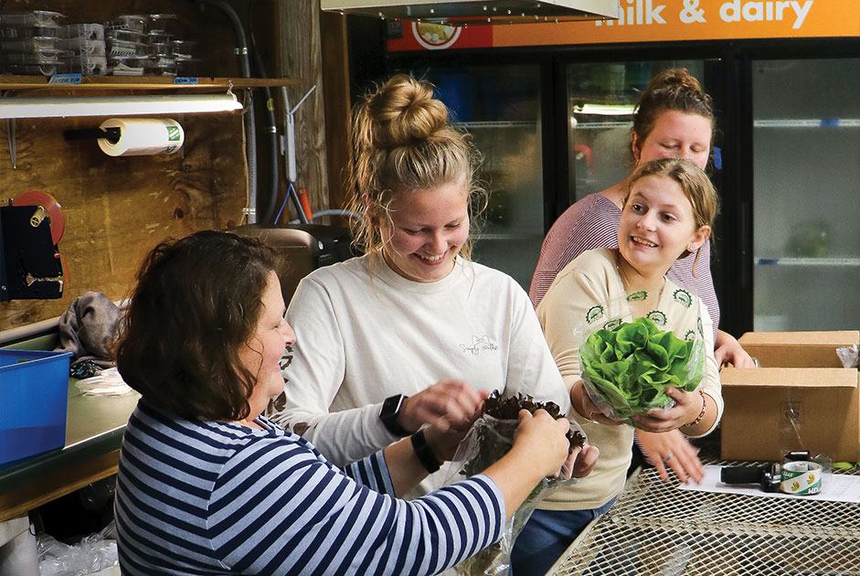 Four people packing lettuce heads at a table, sign reading "milk & dairy" overhead