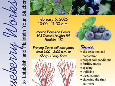Blueberry Workshop Flyer