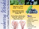 Blueberry Workshop Flyer