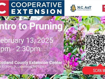 Intro to Pruning workshop Feb 13, 2025 1–2:30pm at Scotland County Extension Center; QR code