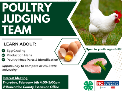 Buncombe County 4‑H Poultry Judging Team flyer — interest meeting Feb 6 4–5pm, open to ages 8–18