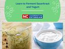 jar of sauerkraut with peppercorns on the side. Bowl of yogurt.