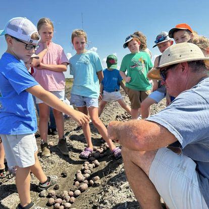 Children on rocky shore watch an adult point to a line of small round shells on the ground