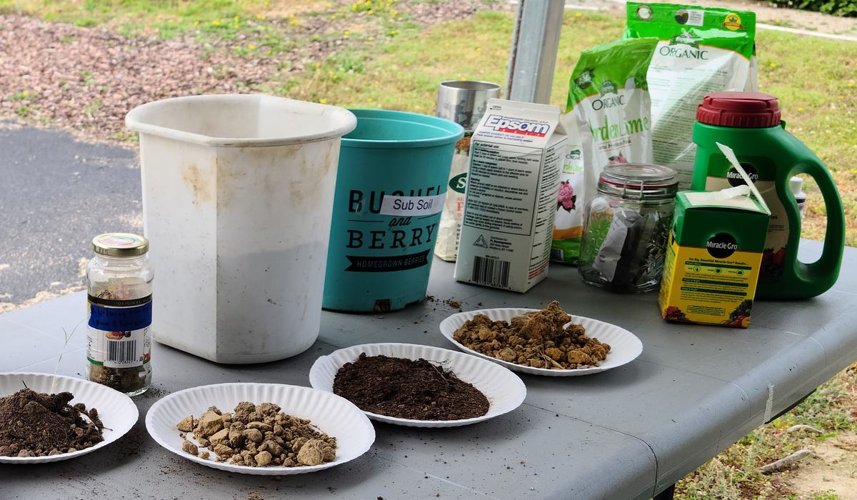plant tone fertilizer Bio-Tone Starter Fertilizer | Organic