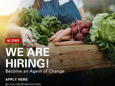 Person holding crate of vegetables; overlay text "WE ARE HIRING! Become an Agent of Change"
