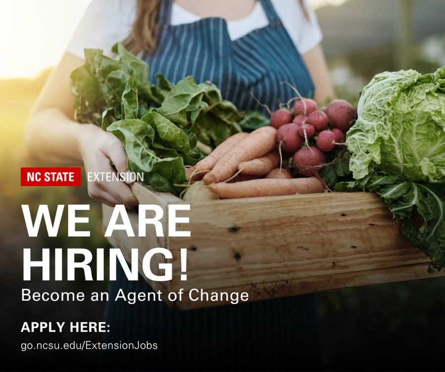 Person holding crate of vegetables; overlay text "WE ARE HIRING! Become an Agent of Change"