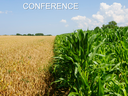 Ripe wheat field left and green corn right under sky, text "AREA WINTER GRAINS CONFERENCE"