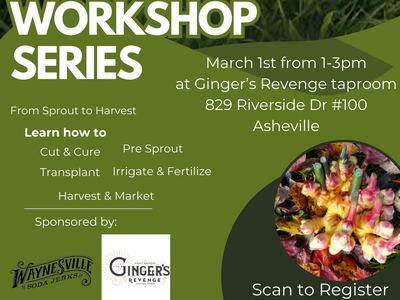 Digital Flyer for Growing Ginger Workshop Series