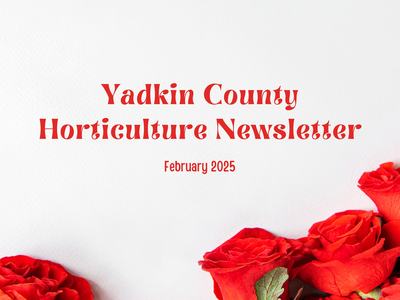 Yadkin County Horticulture Newsletter — February 2025; red roses on white background