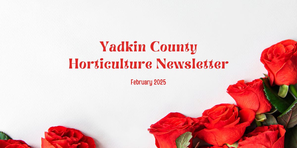 Yadkin County Horticulture Newsletter