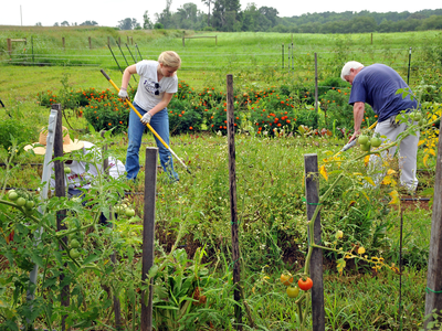 Master Gardeners working in the garden