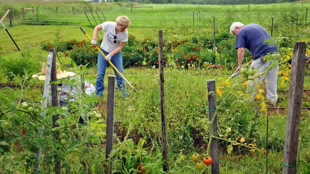 Master Gardeners working in the garden