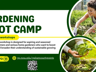 workshop flyer with description