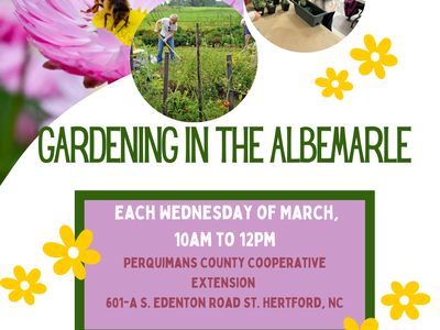 Gardening in the Albemarle Flyer
