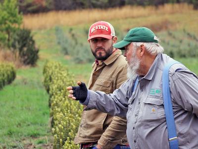 NC State Extension Hurricane Helene response helping North Carolina ornamental industry