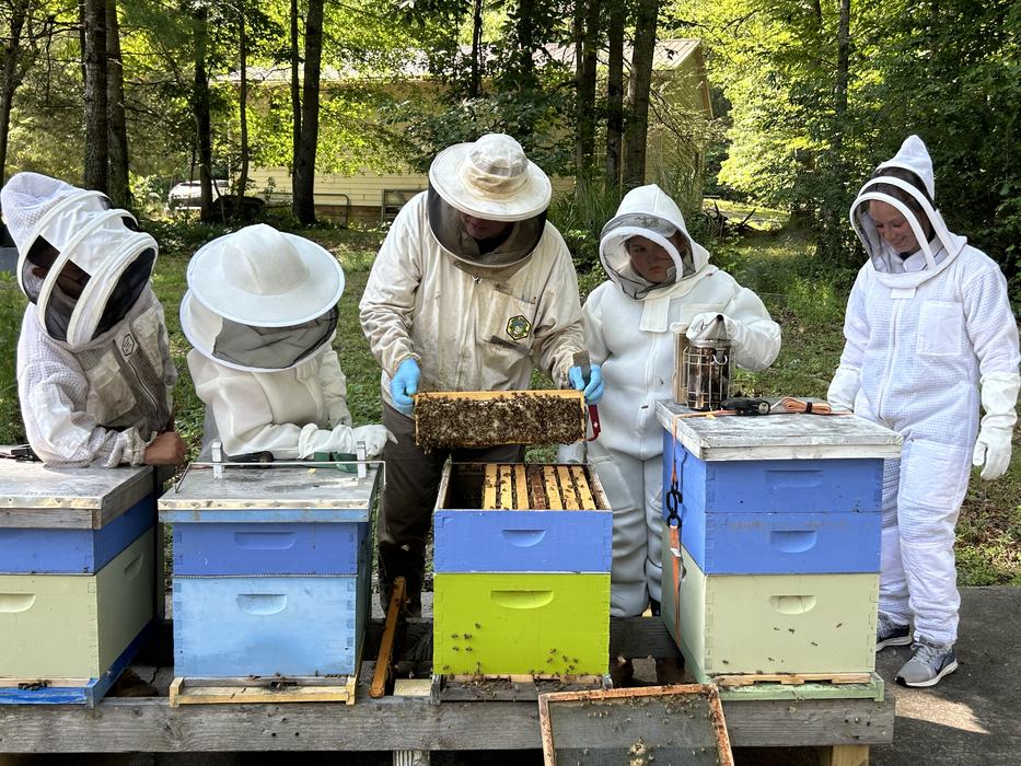 Honeybee Club