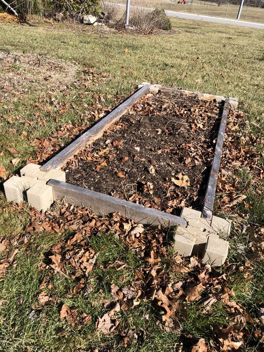 raised bed