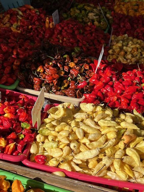 Fresh hot peppers for sale.