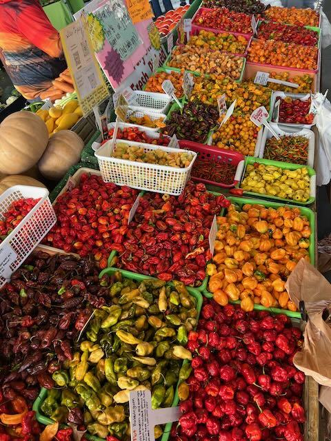Market stall displaying baskets of assorted colorful chili peppers and squash