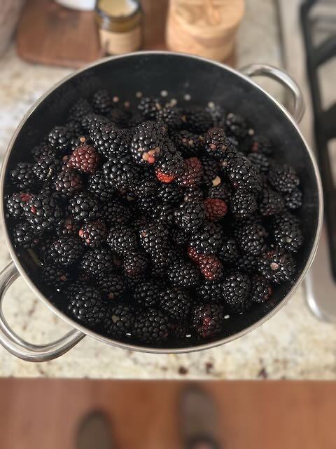 A pot filled with blackberries.