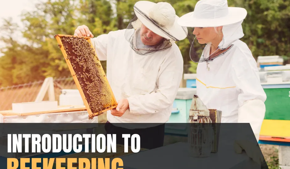 Introduction to Beekeeping Workshop Offered - Burke County Center | N.C ...