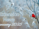 January 2025 Newsletter