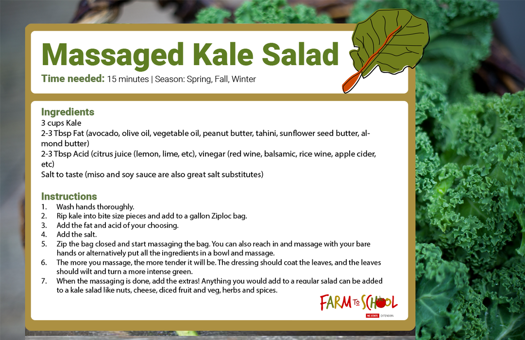 Massaged Kale Salad recipe card with ingredients, instructions; Time needed: 15 minutes.