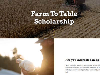 Mountaire logo; "Farm To Table Scholarship" over harvested field; person holding a chicken