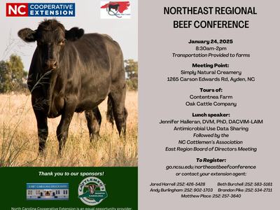Black cow standing in field; flyer text: Northeast Regional Beef Conference, Jan 24, 2025.