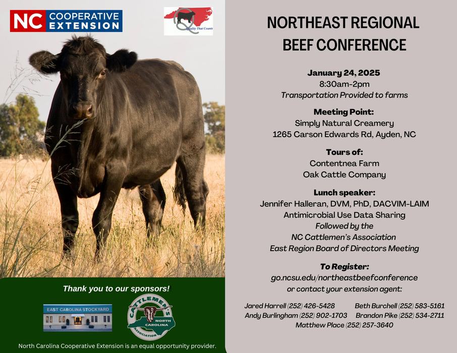 Black cow standing in field; flyer text: Northeast Regional Beef Conference, Jan 24, 2025.