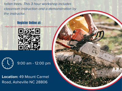 Flier for chainsaw safety workshop