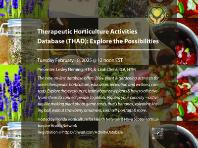 Poster with information on FLHHN THAD Webinar