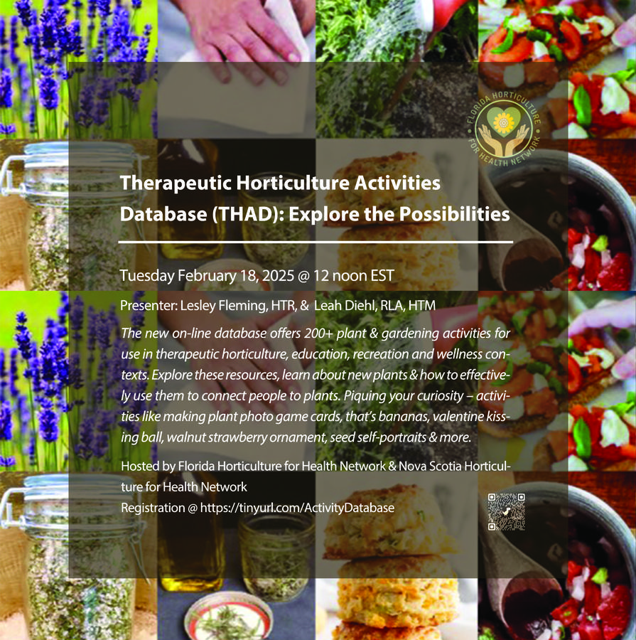 Poster with information on FLHHN THAD Webinar