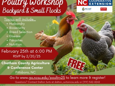 Two chickens; poster reading "Poultry Workshop Backyard & Small Flocks" Feb 25 6:00 PM Pittsboro, NC FREE