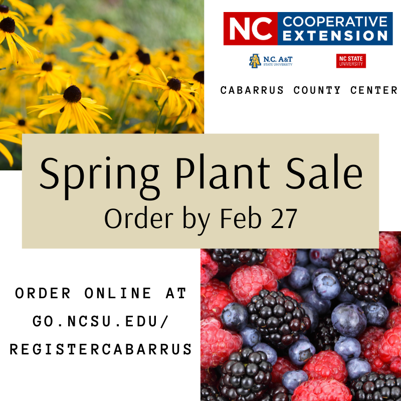 Spring Plant Sale - order by Feb 27. Order online at go.ncsu.edu/registercabarrus