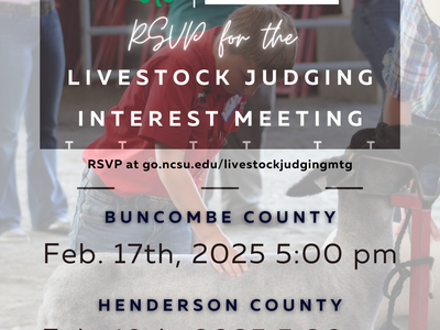 Youth with sheep; RSVP livestock judging meeting Feb 17 (Buncombe) Feb 19 (Henderson) 5pm