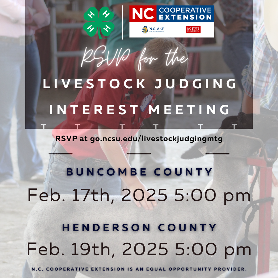 Youth with sheep; RSVP livestock judging meeting Feb 17 (Buncombe) Feb 19 (Henderson) 5pm