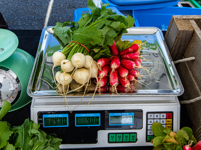 bunches of radishes and turnips on a scale