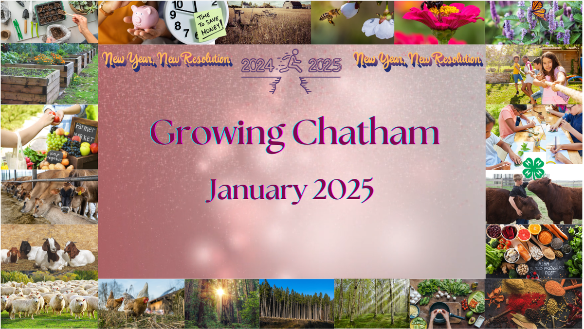 January 2025 Growing Chatham
