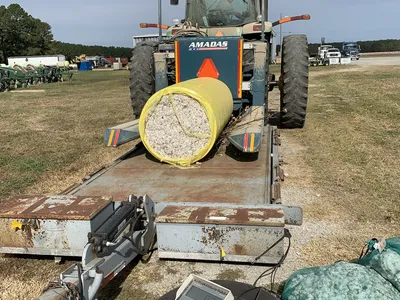 cotton yield