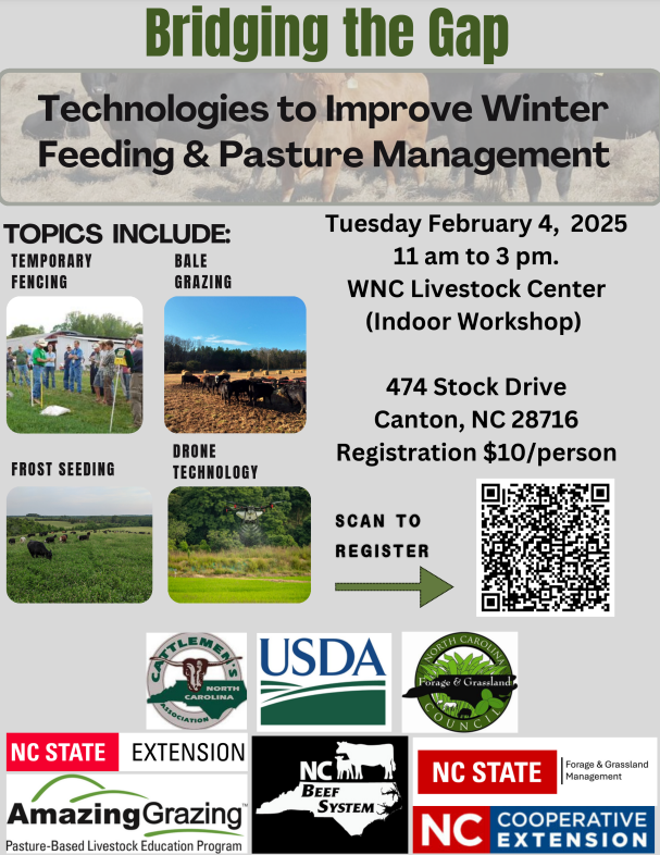 Bridging the Gap Flyer