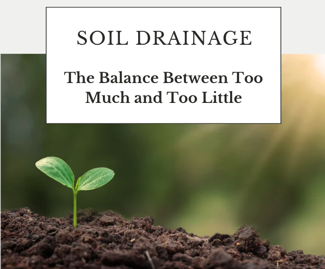 Soil Drainage - Young Seeding