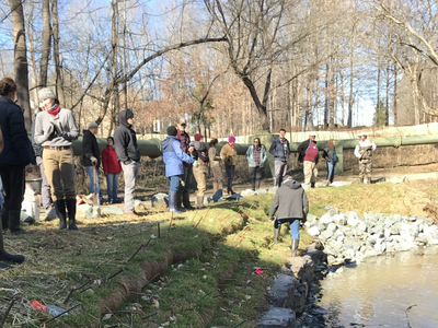 people workong on streambank repair