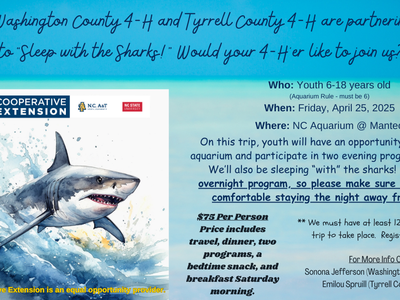 Ad for "Sleeping with the Sharks"