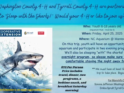Ad for "Sleeping with the Sharks"
