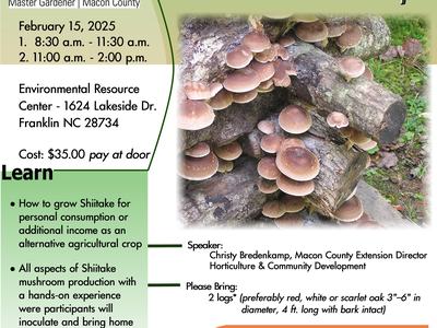 shiitake Flyer