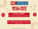 Small Fruit Plant Sale flyer