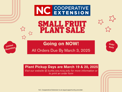 Small Fruit Plant Sale flyer