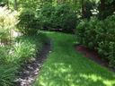 Green grass with green shrubs and green trees on each side